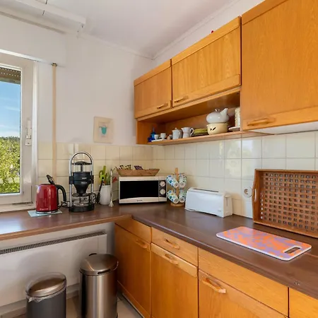 Oberamsel Apartment
